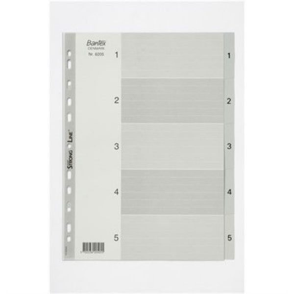 Picture of BANTEX PP INDEX 1-5 A4  GREY
