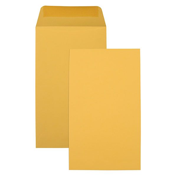 Picture of CBL SEED ENVELOPE 107X60MM PK 50